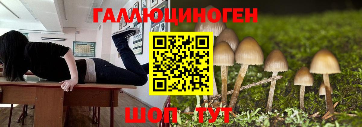 Псилоцибиновые грибы Cubensis  Вход с VPN  Зерноград 