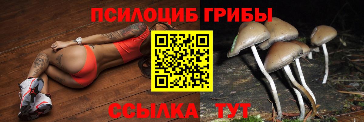 Псилоцибиновые грибы MAGIC MUSHROOMS Зерноград